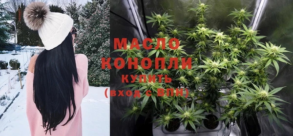 СК Алексин