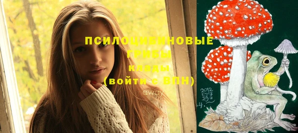 дурь Абинск