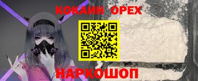 стафф Камышлов
