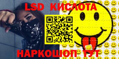 стафф Камышлов