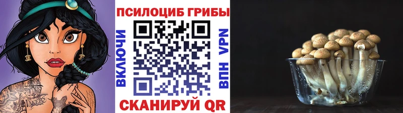 Галлюциногенные грибы Cubensis Шахты