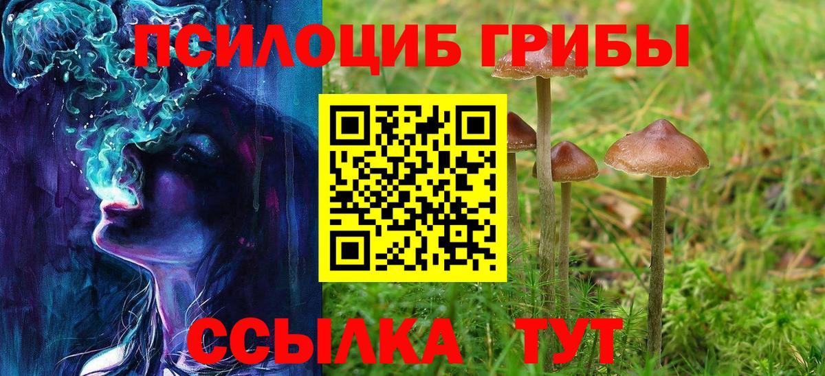 Шахты  Галлюциногенные грибы GOLDEN TEACHER  Вход с VPN  Галлюциногенные грибы ЛСД 